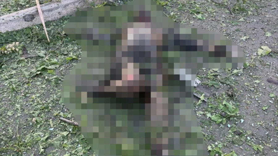 Russian strikes on Donetsk Oblast kill 3 civilians, injure another 5 