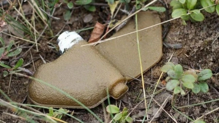 Підірвався на пелюстці на своєму городі: у Куп’янську загинув чоловік