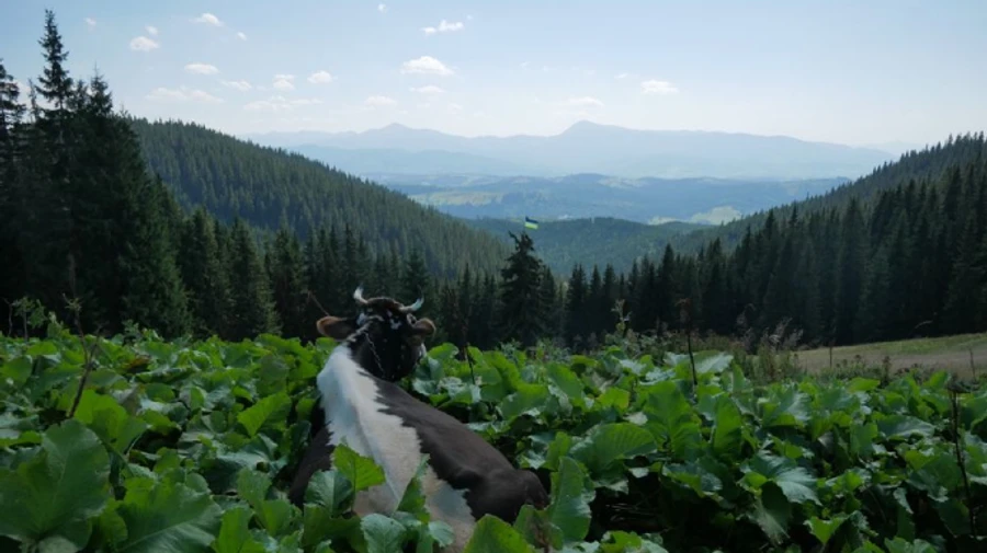 Последние дни июля будут жаркими