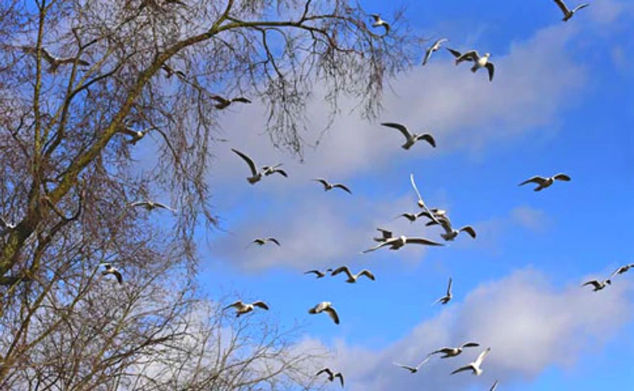 Синоптик анонсировала скорое потепление