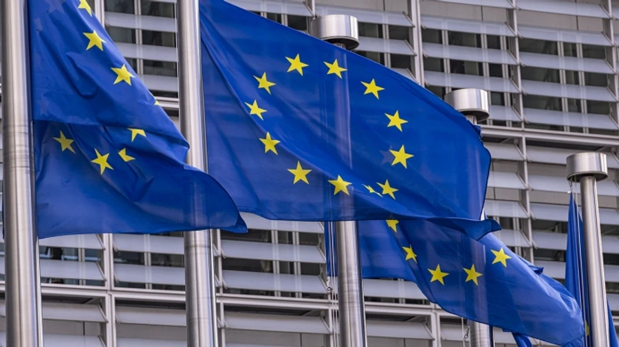 Вице-президент Еврокомиссии предупредила об угрозе вмешательства РФ в выборы в Германии