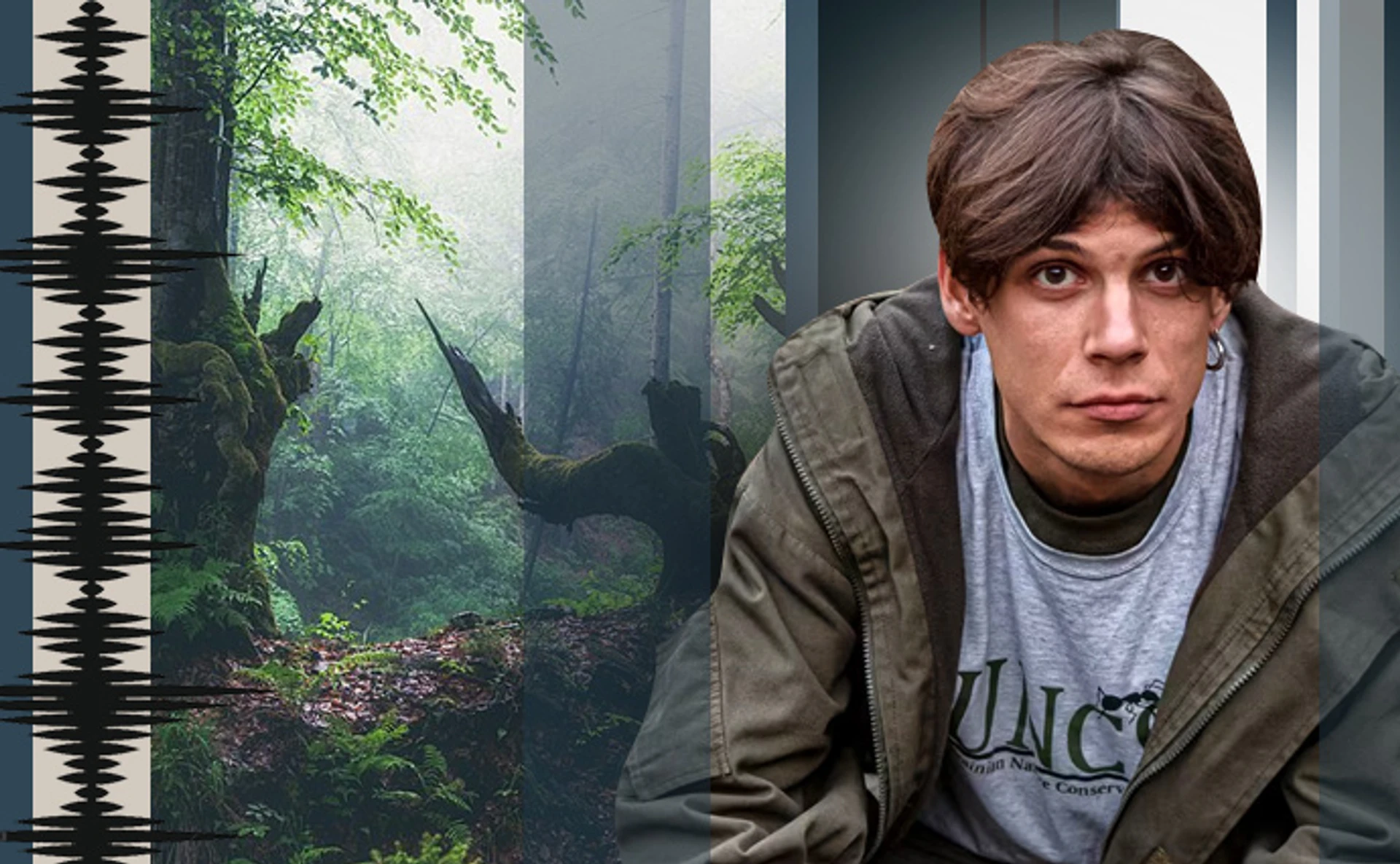 Когда деревья были большими. Путешествие карпатскими лесами, которых нет, или скоро не будет