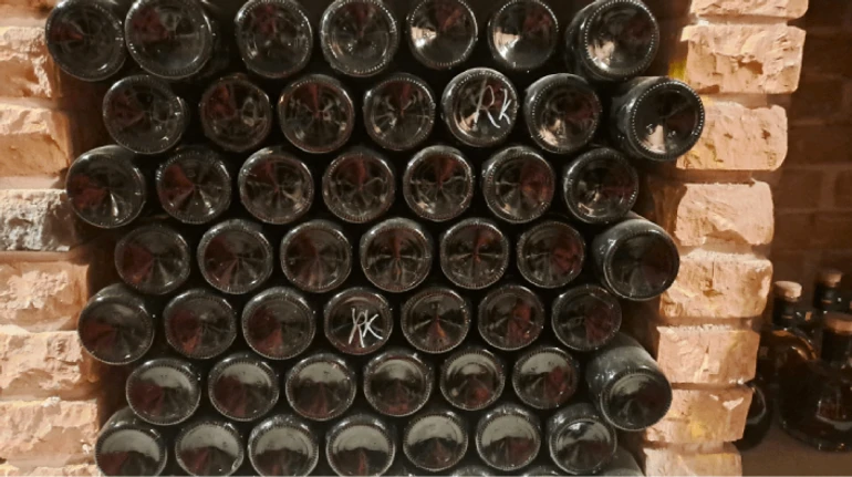 Алкоголь з гарбуза та вино, схоже на борщ. Історія виноробні Wineidea з Ясногородки