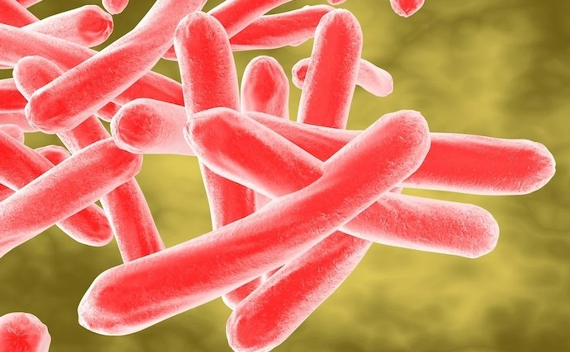 В центре должен быть человек, или почему Украина все еще не преодолела туберкулез