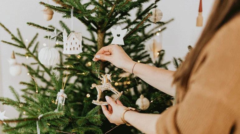 Що дивитися, читати, готувати: ідеї для тих, кому під ялинку не поклали новорічний настрій