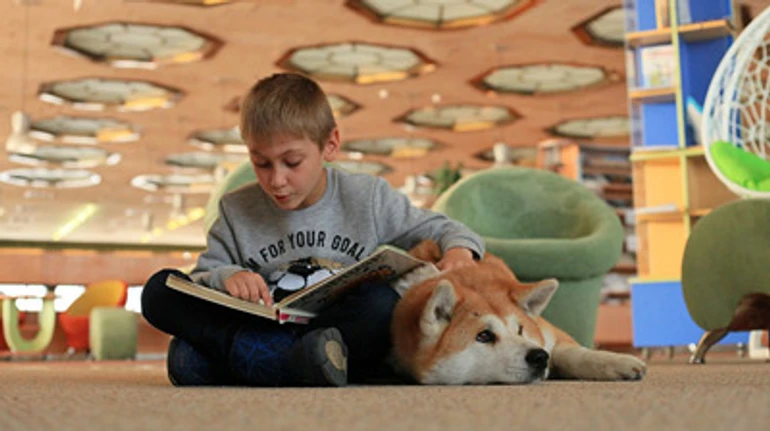 Хороший приклад – заразний: 5 бібліотек, що змінили життя громади