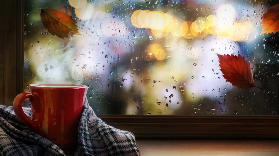 Погода на вихідних: українців чекає холод і дощ