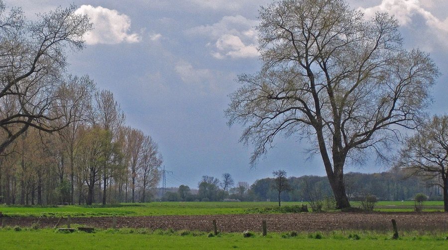 В Україні до кінця тижня дощитиме