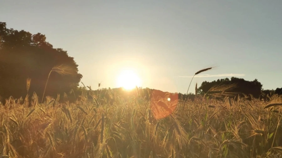 17 июля в Киеве была рекордная для этого дня жара