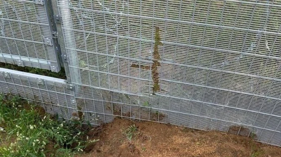 У Латвії зафіксували, як білоруські прикордонники дірявлять паркан для мігрантів