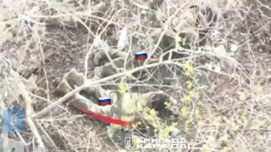 Ukrainian National Guard captures group of Russian infantrymen – video
