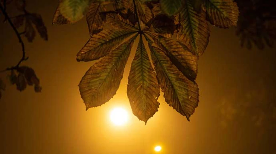 Киев побил еще один температурный рекорд: лето продолжается