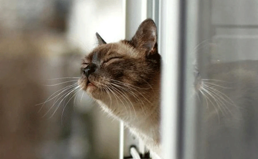 Синоптик рассказала, когда в Украину вернется тепло