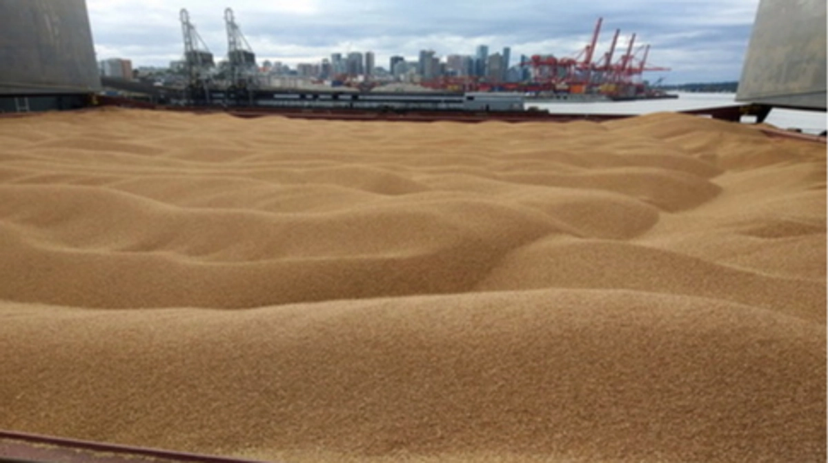 Belarus profits from stolen Ukrainian grain