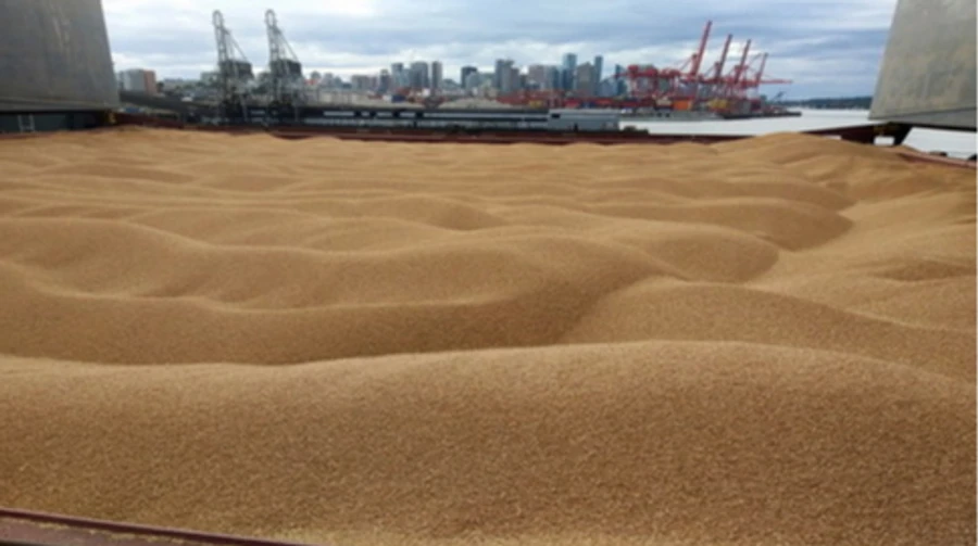 Belarus profits from stolen Ukrainian grain