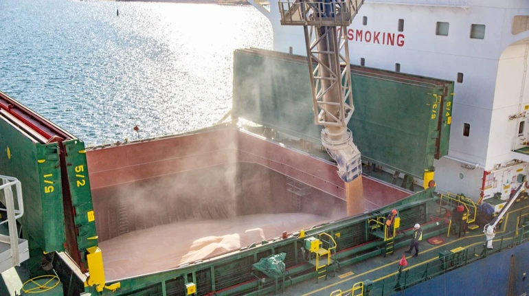 Вантажообіг портів України з початку року склав 15 мільйонів тонн