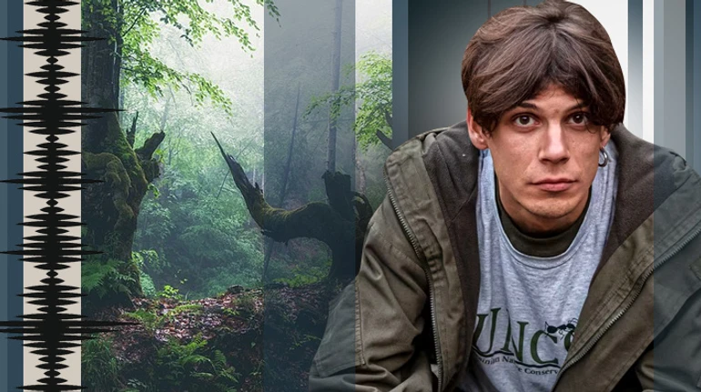 Коли дерева були великими. Мандрівка карпатськими лісами, яких немає, або скоро не буде