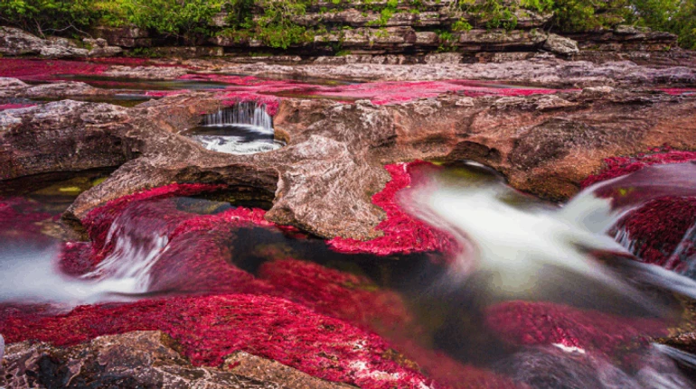 Какая река дважды пересекает экватор или имеет в себе 5 цветов? Узнайте в ТЕСТе