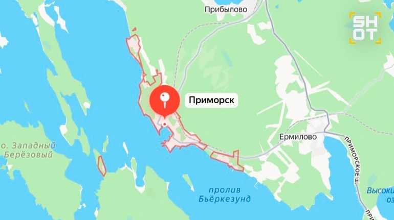 В Ленинградской области РФ заявили о массированной атаке дронов и пожаре в порту