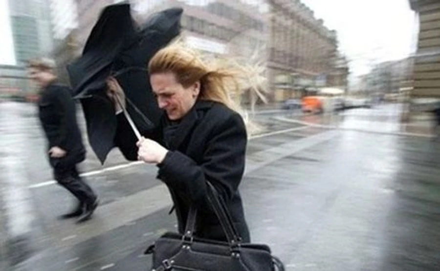 Через вітер українців закликають не ходити під деревами й білбордами