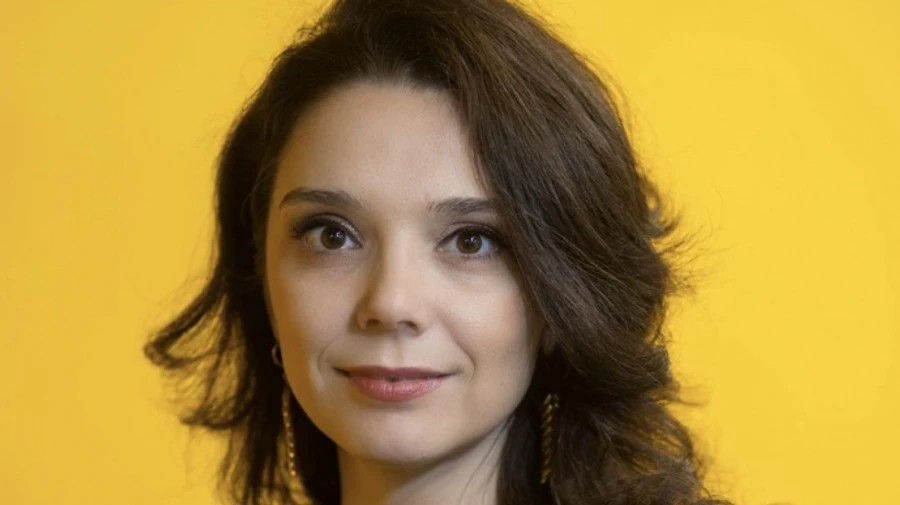 Ukraine faces no accusations over use of anti-personnel mines – Amnesty Ukraine director