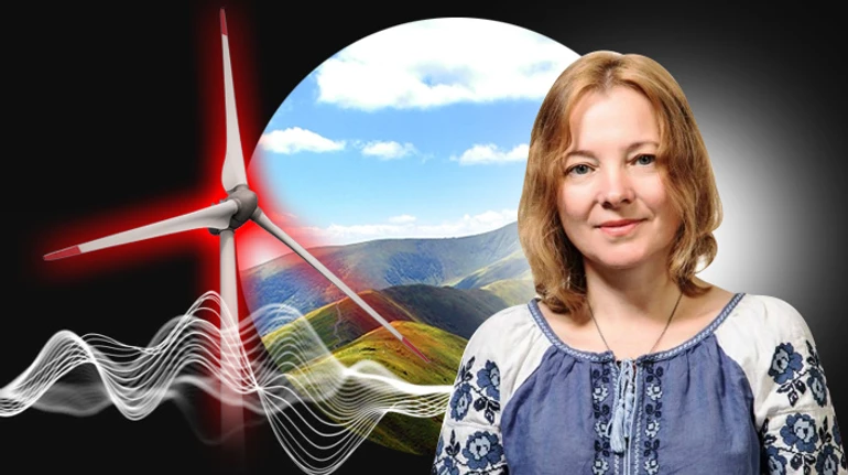 Зелена енергетика проти зелених Карпат. Як вітряки загрожують дикій природі