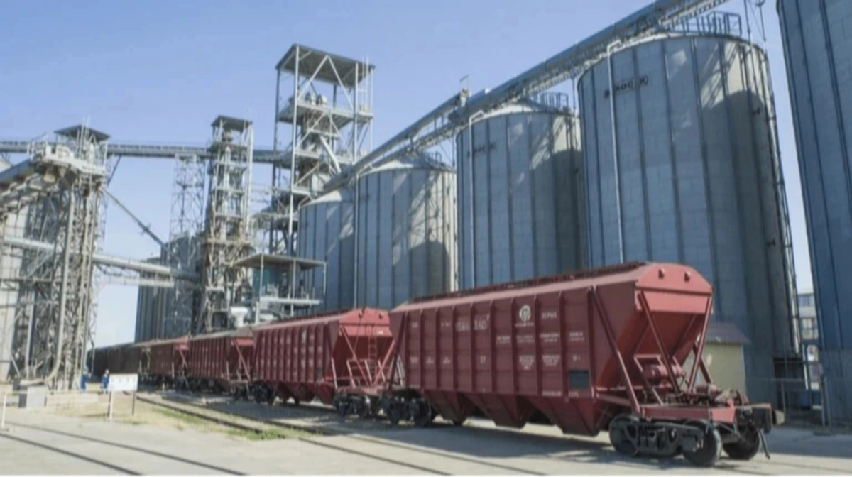 US Department of Agriculture: Ukraine grain exports have fallen 30% over six months