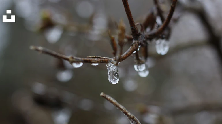 Березень принесе потепління до +12
