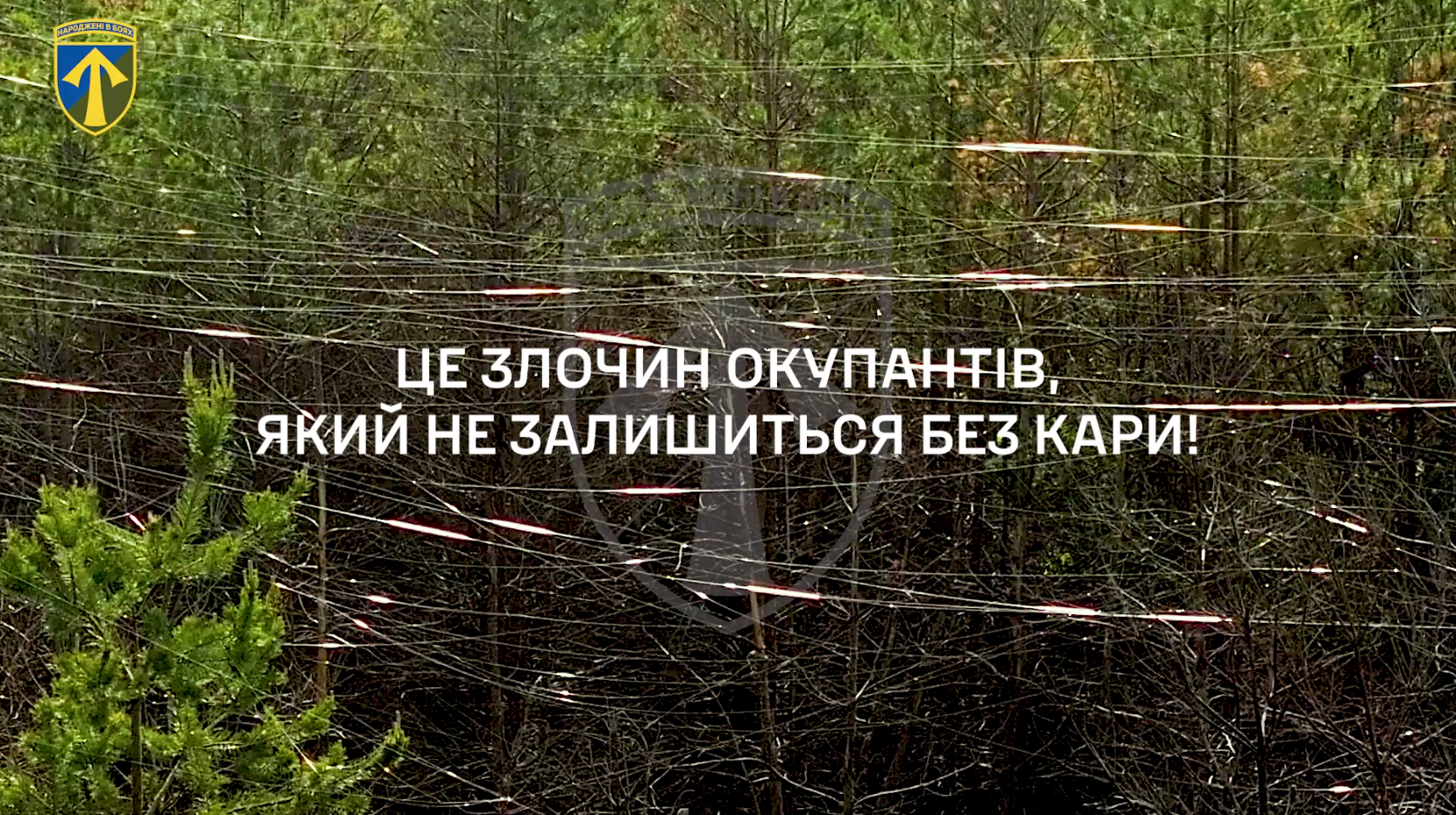 Екоцид росіян: бійці показали тисячі кілометрів лісів у "павутинні" з оптоволокна на Харківщині