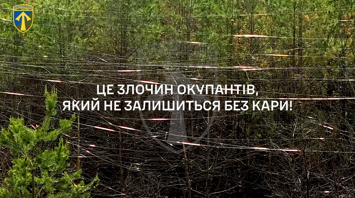 Ukrainian troops show Kharkiv forests covered in fibre-optic cables from Russian drones – video