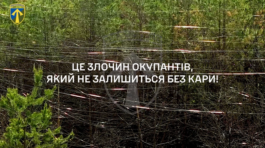 Экоцид россиян: бойцы показали тысячи километров лесов в паутине из оптоволокна на Харьковщине