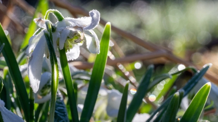 В Украине не будет осадков в ближайшие дни, а на востоке ночью прогнозируют легкий мороз