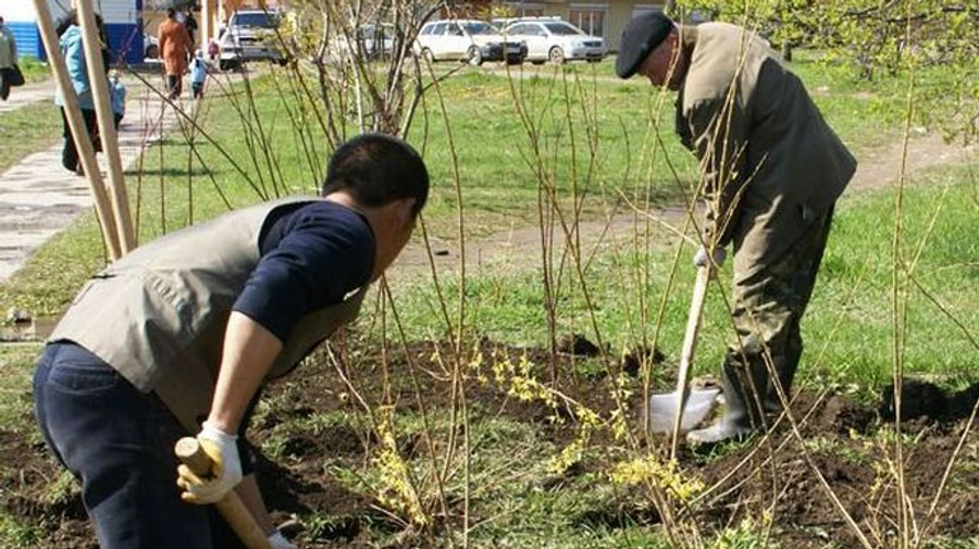 Каждый пятый украинец готов к общественным работам, чтобы стало лучше