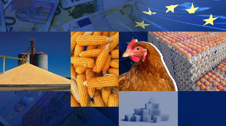 Як по квотах: Україна і ЄС домовились про нові умови експорту агропродукції