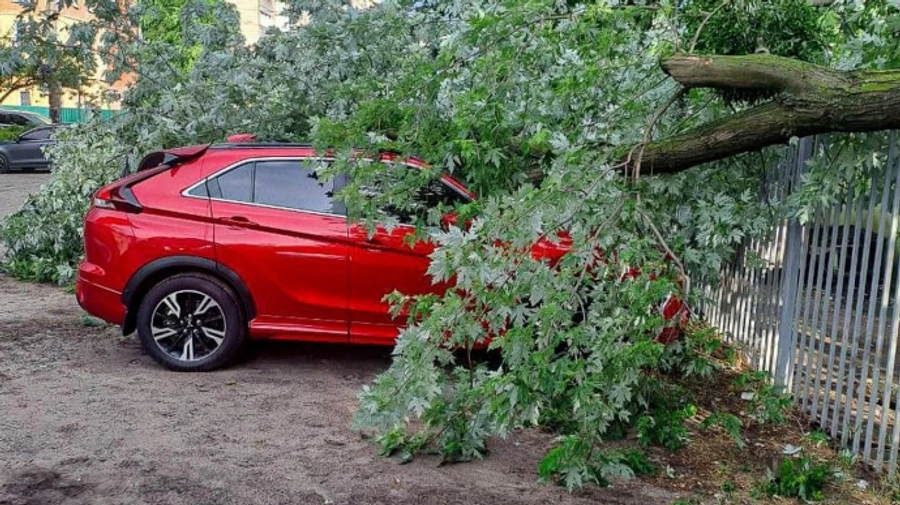 На Киевщине и в столице из-за непогоды подтопления и падения деревьев