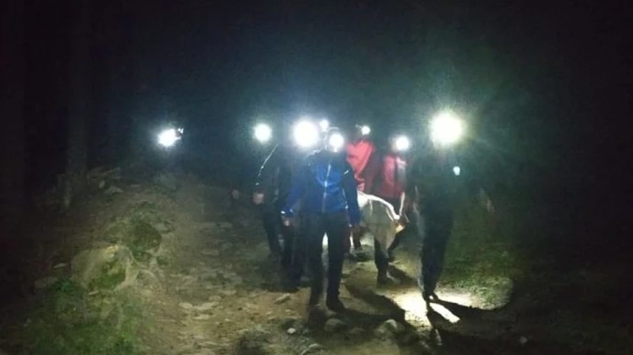 Развели костер и случился взрыв: в Карпатах 2 человека погибли, 4 получили травмы