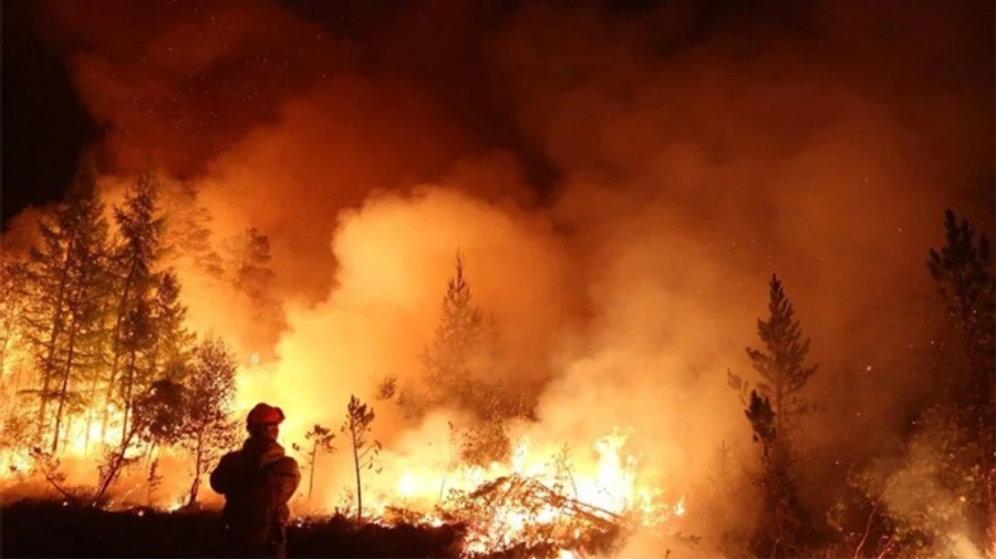 В ООН прогнозують, що світ чекає потепління на 1,5° в найближчі 5 років