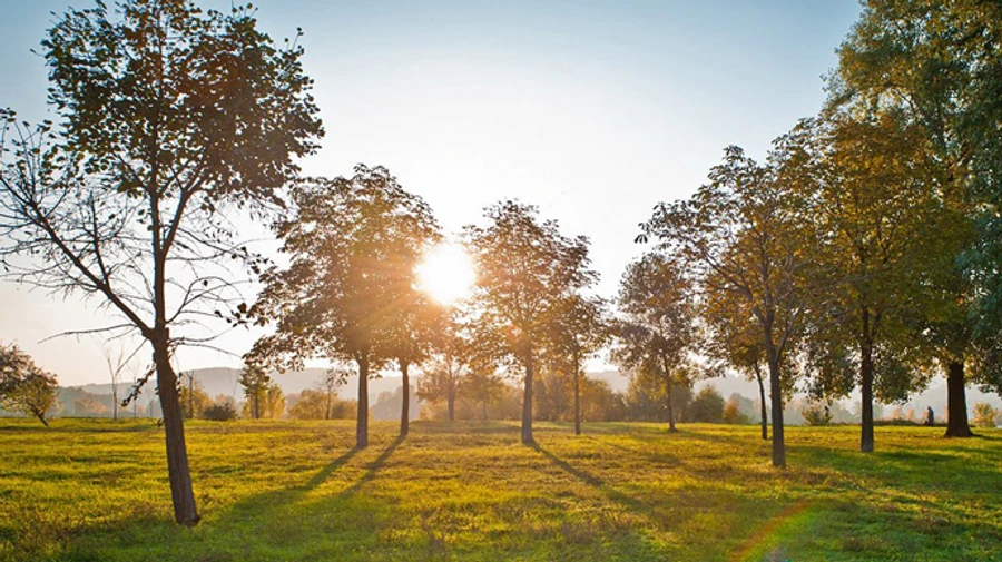 В Україні то дощі, то сонце, а з температурою – головний біль