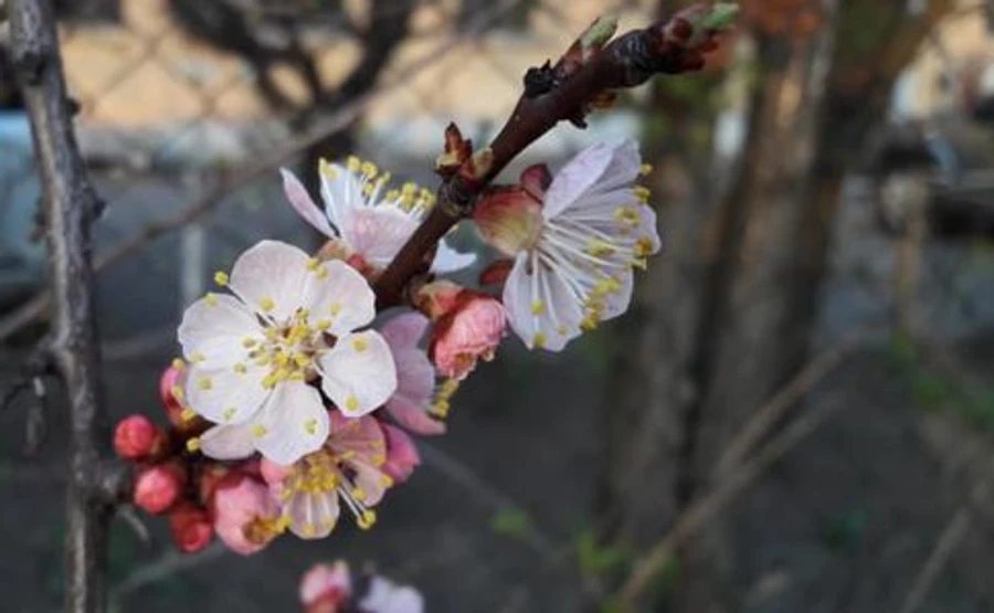 От 11° мороза до 18° тепла: прогноз до конца недели