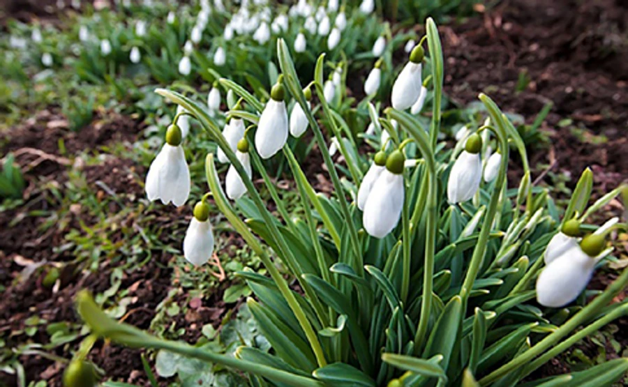 Весняний подих: повітря прогріється до 14 градусів тепла