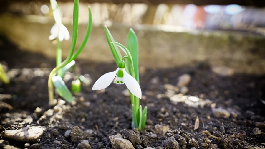 Январская температура в Киеве повторила рекорд 2007 года