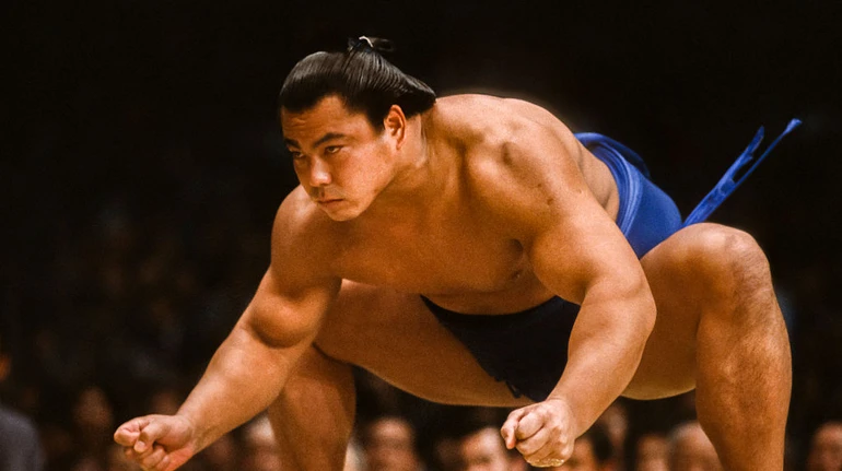 Вовк, з якого треба брати приклад Аонішікі: історія легендарного йокозуни Чіонофуджі