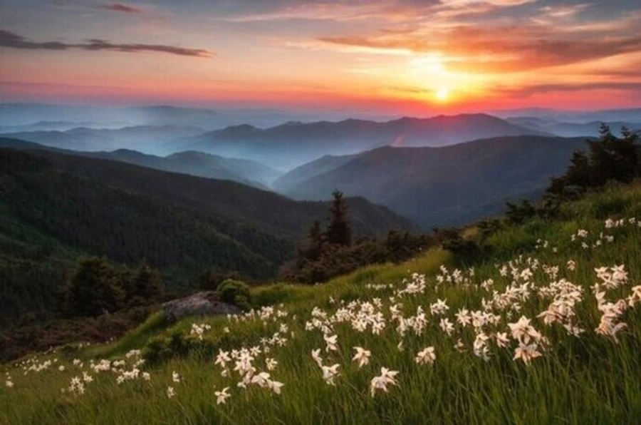 Ukrainian nature reserve photo wins Wiki Loves Earth 2023 international contest