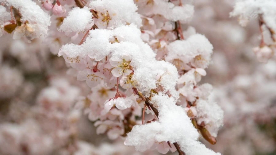 В Украине в воскресенье холодно и заморозки