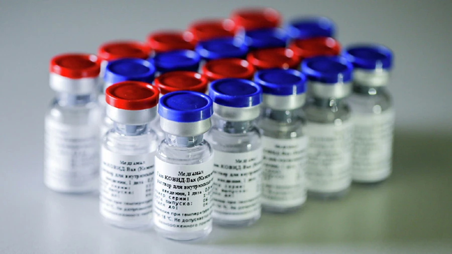 В ЕС есть сторонники одобрения российской вакцины Спутник V – СМИ