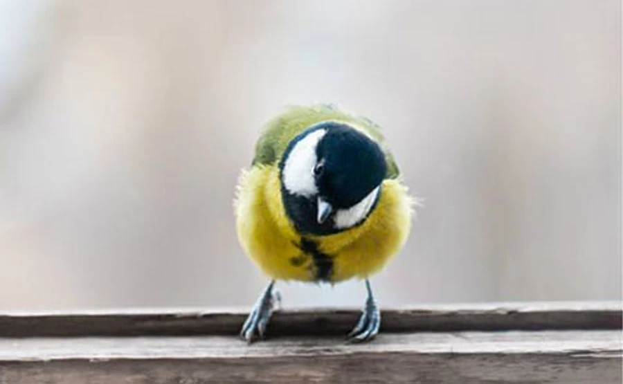 Синоптик розповіла, коли чекати похолодання