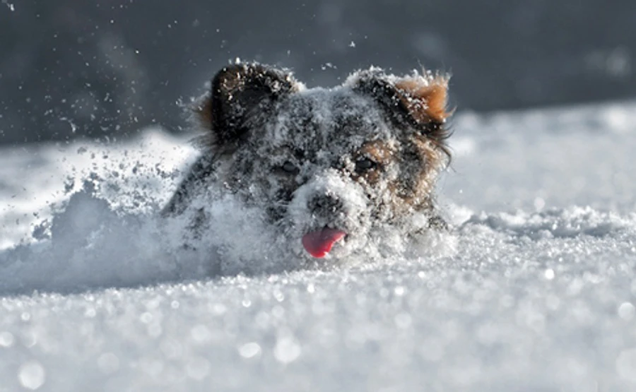 Україну замете снігом