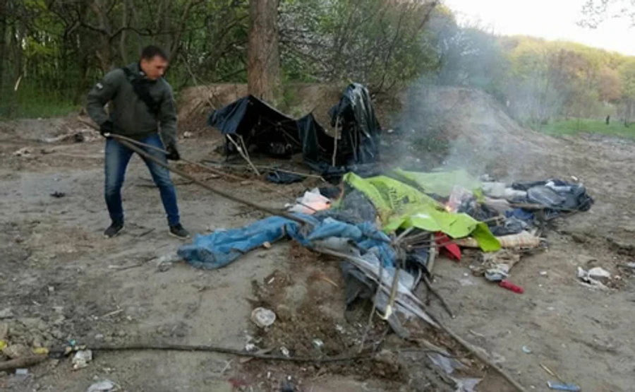 Поліція Києва: Роми на Лисій горі рубали дерева і розводили бруд