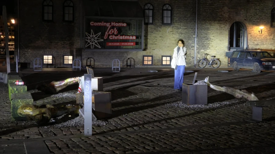 Sculptures by Ukrainian artist destroyed in Copenhagen – photos