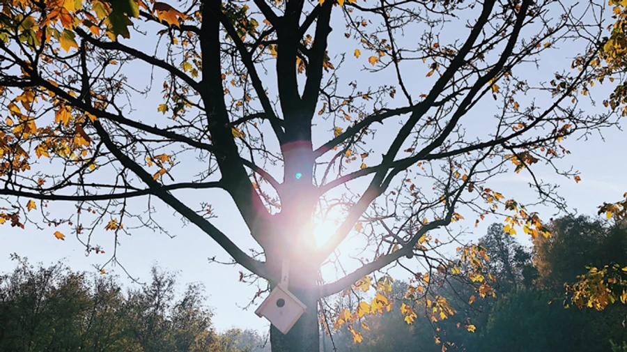 В Украине будет сухо и ясно